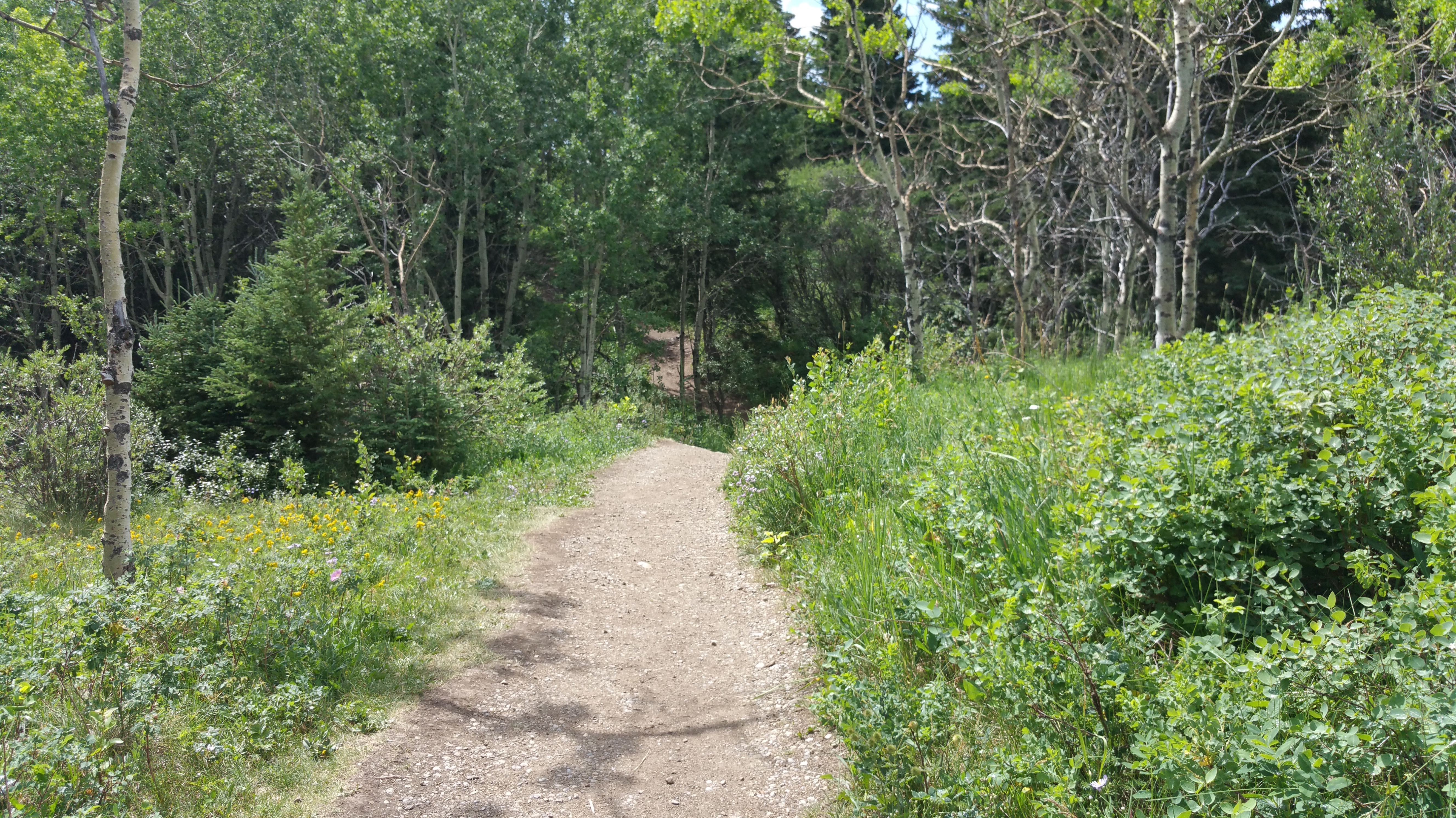 Supportive coaching environment